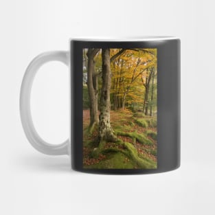 Brathay Woods #2 Mug